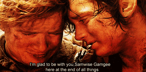 Samwise Frodo Lord of the Rings Dynamic Duos
